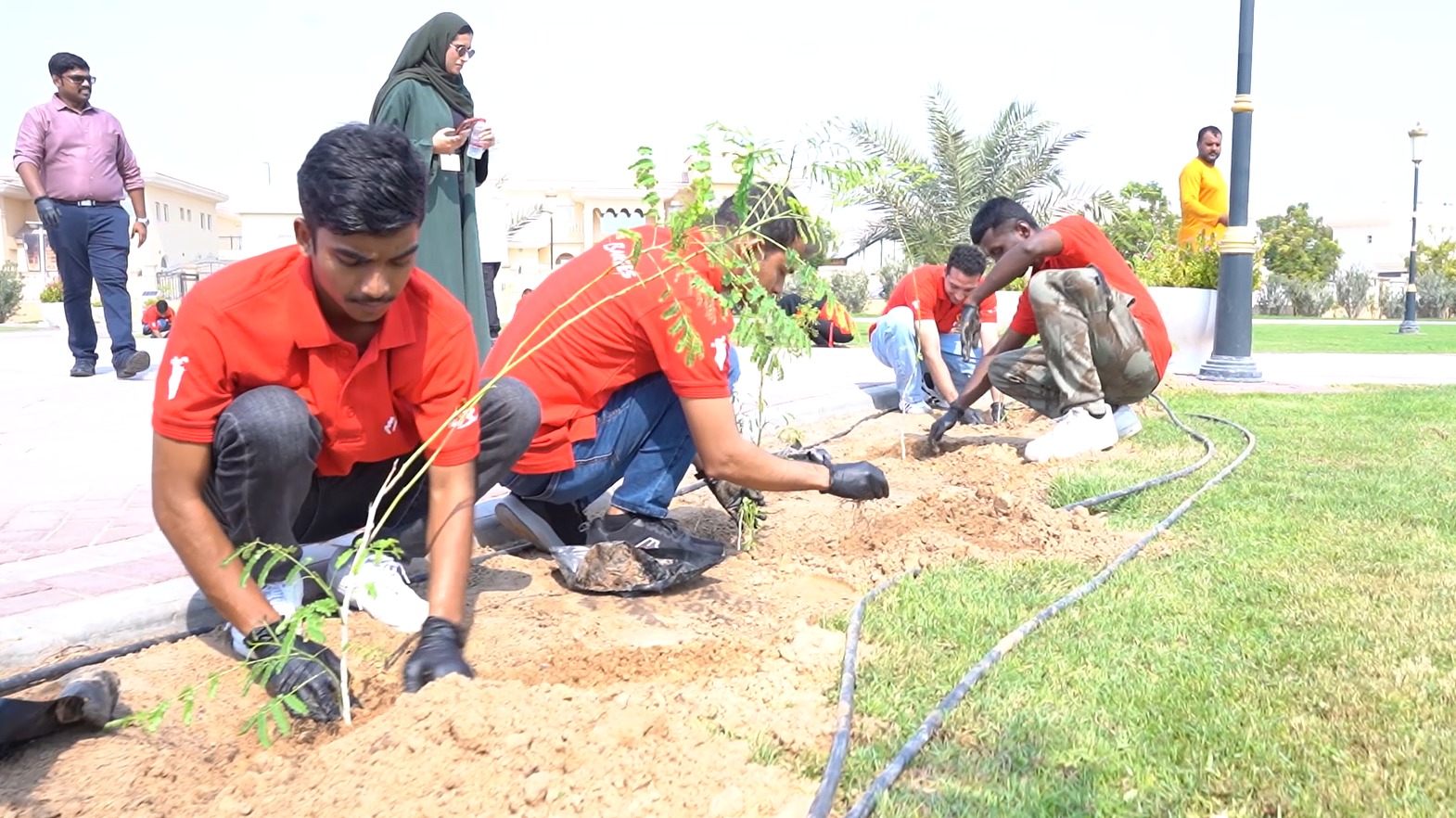 Volunteers planting trees on a corporate CSR day